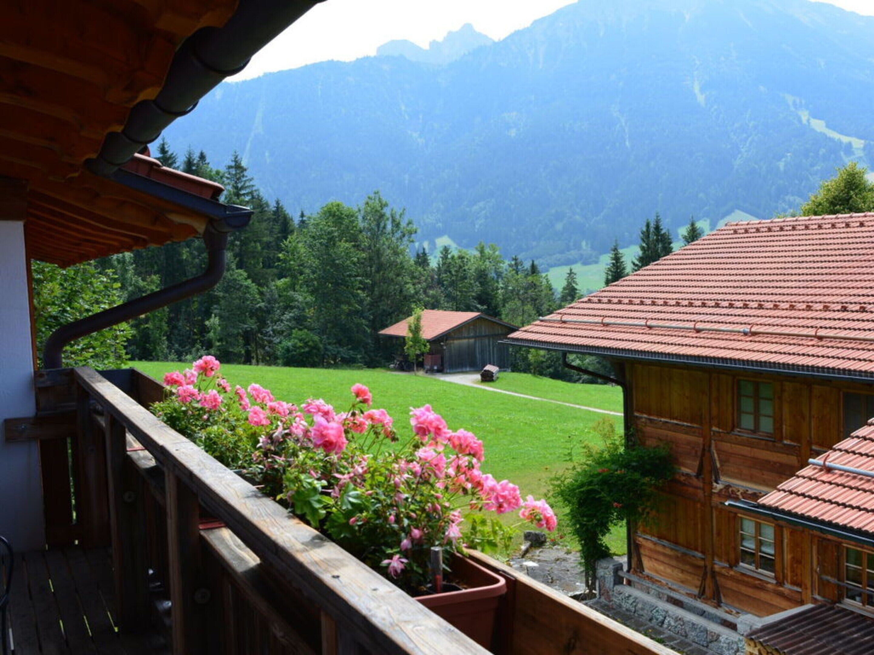 Vista des de l'allotjament