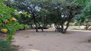 Un sendero de grava que lleva a un banco bajo árboles.