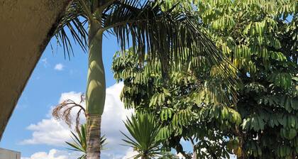 Kafubu Inn Guest House