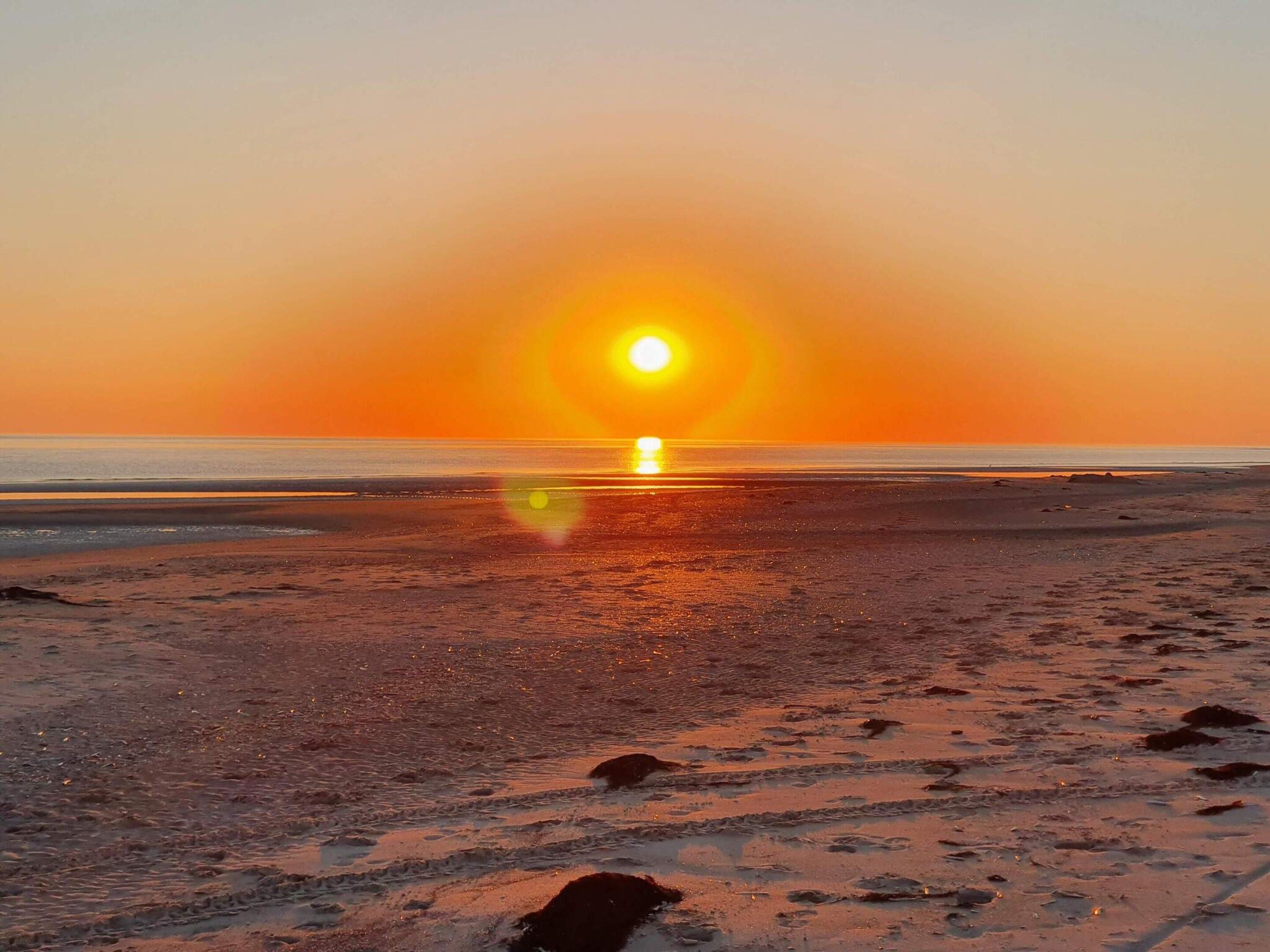 A beach with a sunset, sandy shore, and calm sea.