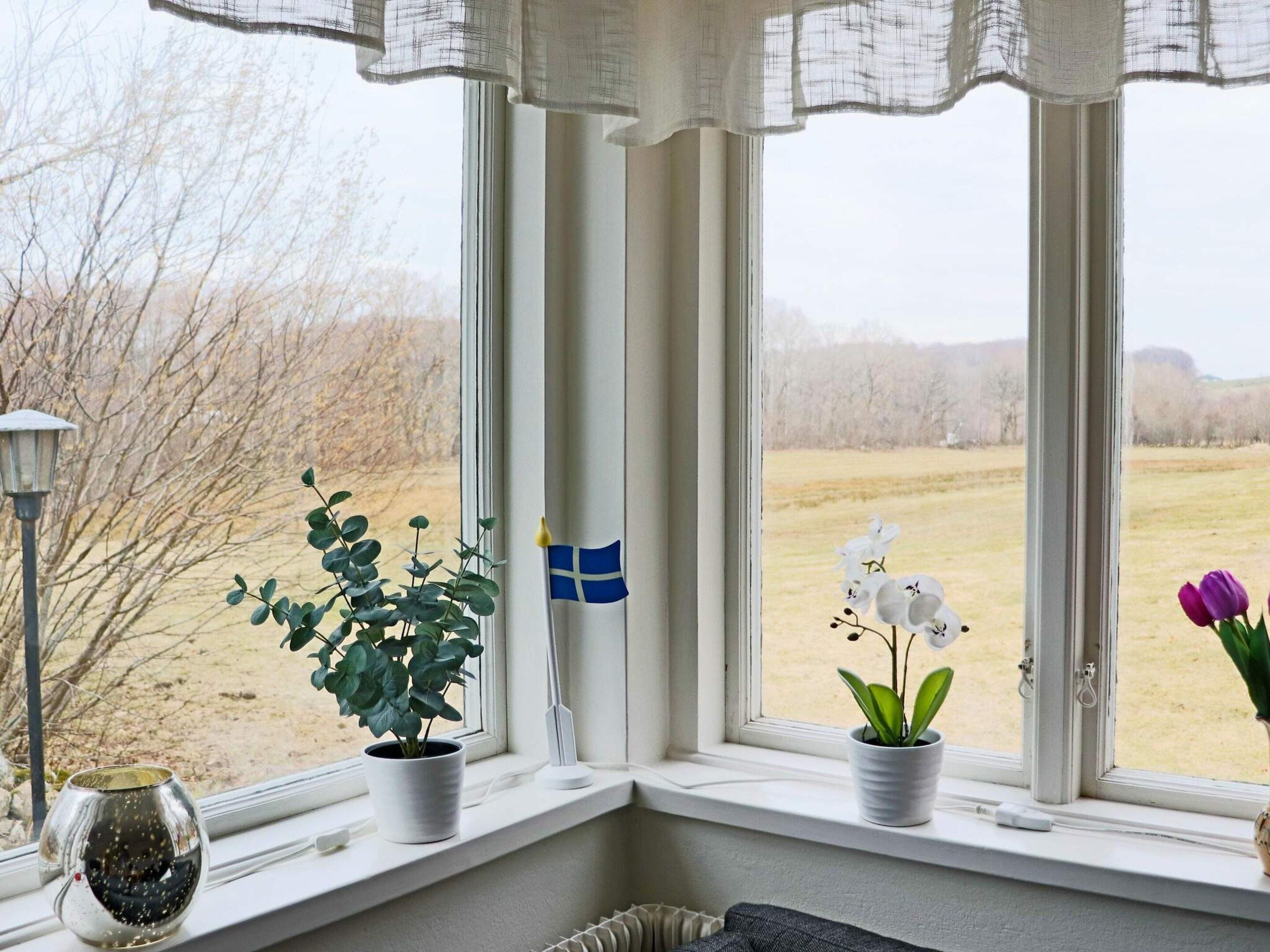 A window with a view of a field, a small flag, and two potted plants.