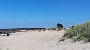 A sandy beach with a pier extending into the water, surrounded by dunes and sparse vegetation.