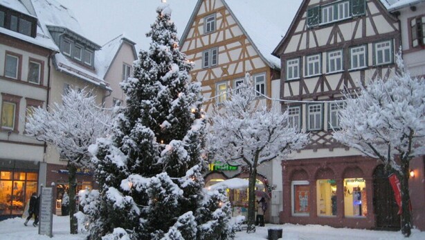 A traditional European town square with snow-covered buildings and a large Christmas tree in the center. - Apartment in Tauberbischofsheim (Tauberbischofsheim)