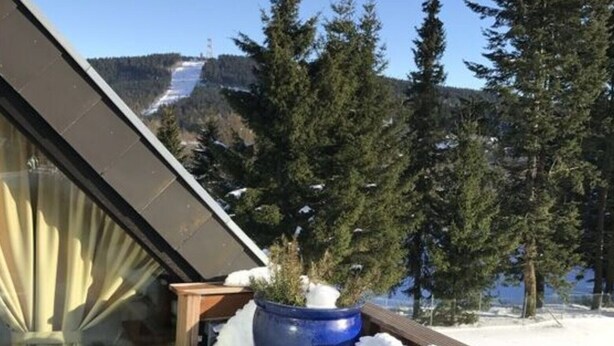 Un balcon agrémenté de plantes en pot, offrant une vue sur un paysage enneigé et des arbres.
