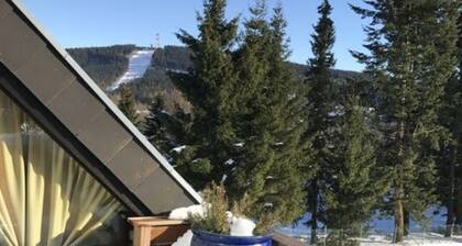 Dream View Comfortable Holiday Residence