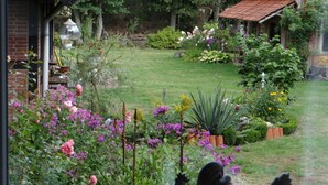 Un jardín con diversas plantas y flores, un muro de ladrillo y un pequeño edificio con tejado de tejas.