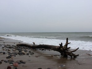 A beach with driftwood and pebbles. - Ostseebrandung - Haus Seepferdchen (Dranske)
