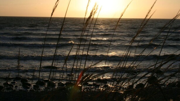 A beach scene with waves and grasses in the foreground. - Ostseebrandung - Haus Seepferdchen (Dranske)