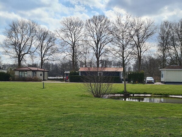 Une zone herbeuse avec un étang, des arbres et un bâtiment doté d’un toit rouge.
