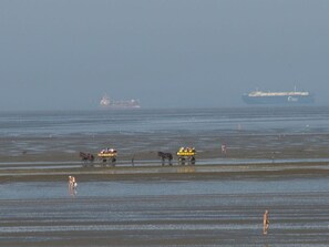 A beach with horse-drawn carriages and a large ship in the background. - Holiday Apartment Surfers (Cuxhaven)