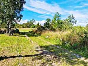 A rural landscape with a dirt path, trees, and a stone wall. - 4 Star Holiday Home in Kopingsvik (Kopingsvik)
