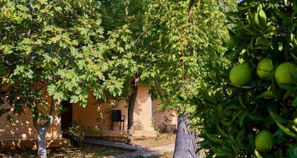 7 Garden Bungalow & Camping