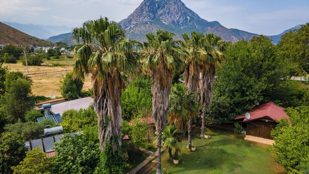Ein Wohngebiet mit einem markanten Berg im Hintergrund, umgeben von üppigem Grün und Palmen.