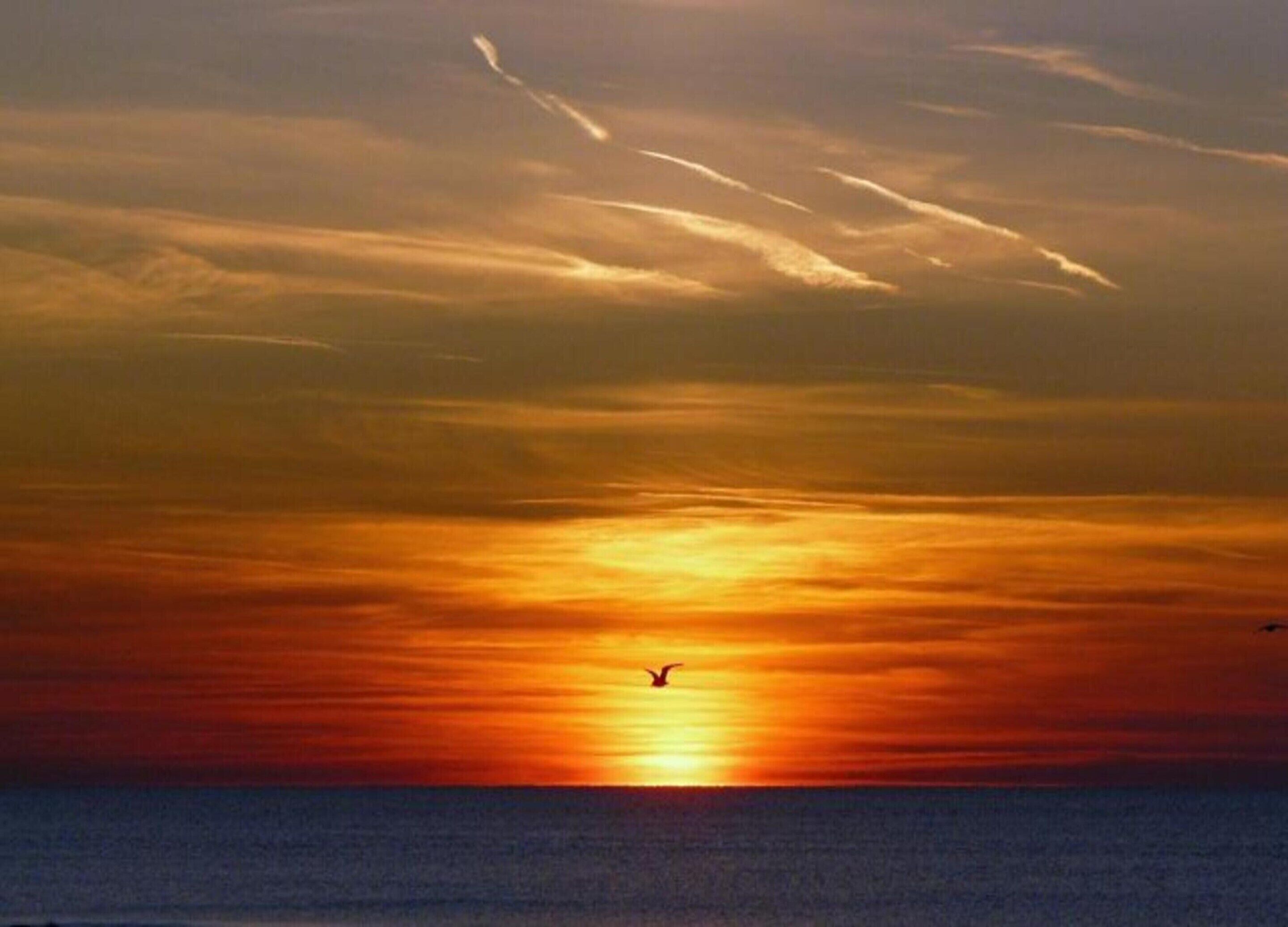 A sunset over the ocean with a silhouette of a bird flying.