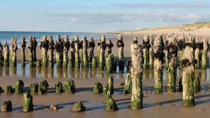 Une plage avec des poteaux en bois et des rochers dans l’eau.