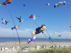 Beach - The Blue House Modern Retreat (Wangerooge)