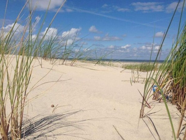 Beach - The Blue House Modern Retreat (Wangerooge)