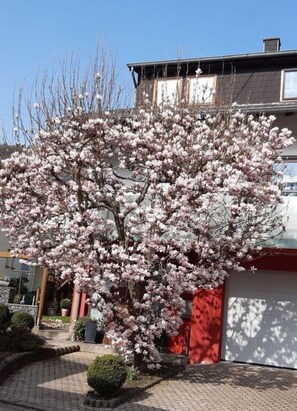 Exterior - Holiday Apartment Magnolia (Ockfen)