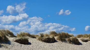 A sandy beach with dunes and sparse vegetation under a clear blue sky.