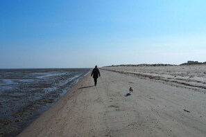Ein Strand mit einer Person und einem Hund, die am Ufer entlanggehen.