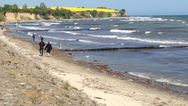 A beach with waves, a few people, and a yellow field in the background. - Apartment Near the Beach With sun Balcony (Boltenhagen)