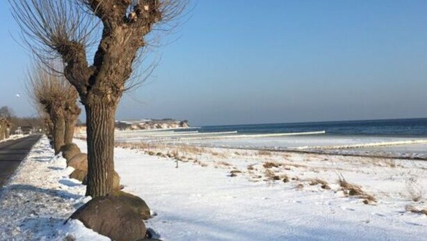 Un sentier enneigé, bordé d’arbres sans feuilles et de gros rochers, qui mène à une plage avec l’océan en toile de fond.