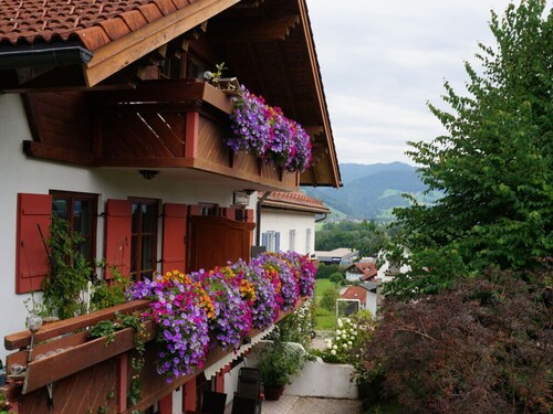 Bader Modern Retreat