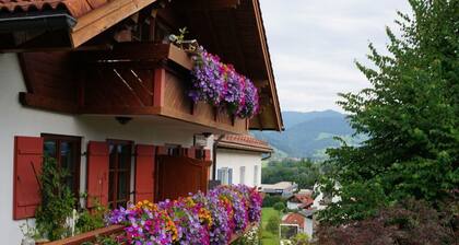 Bader Modern Retreat