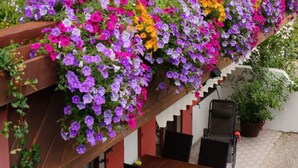 A balcony with a wooden railing adorned with colorful flowers. - Bader Modern Retreat (Blaichach)