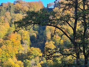 A forested landscape with a prominent tree in the foreground. - Maarchalet Modern Retreat (Daun)
