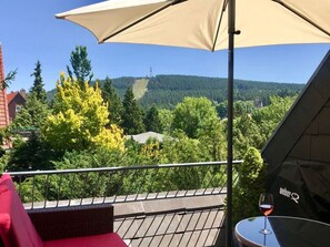 View from property - "nice Mountain View" (Goslar)