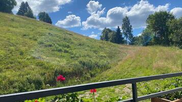 Apartemen | Ruang keluarga