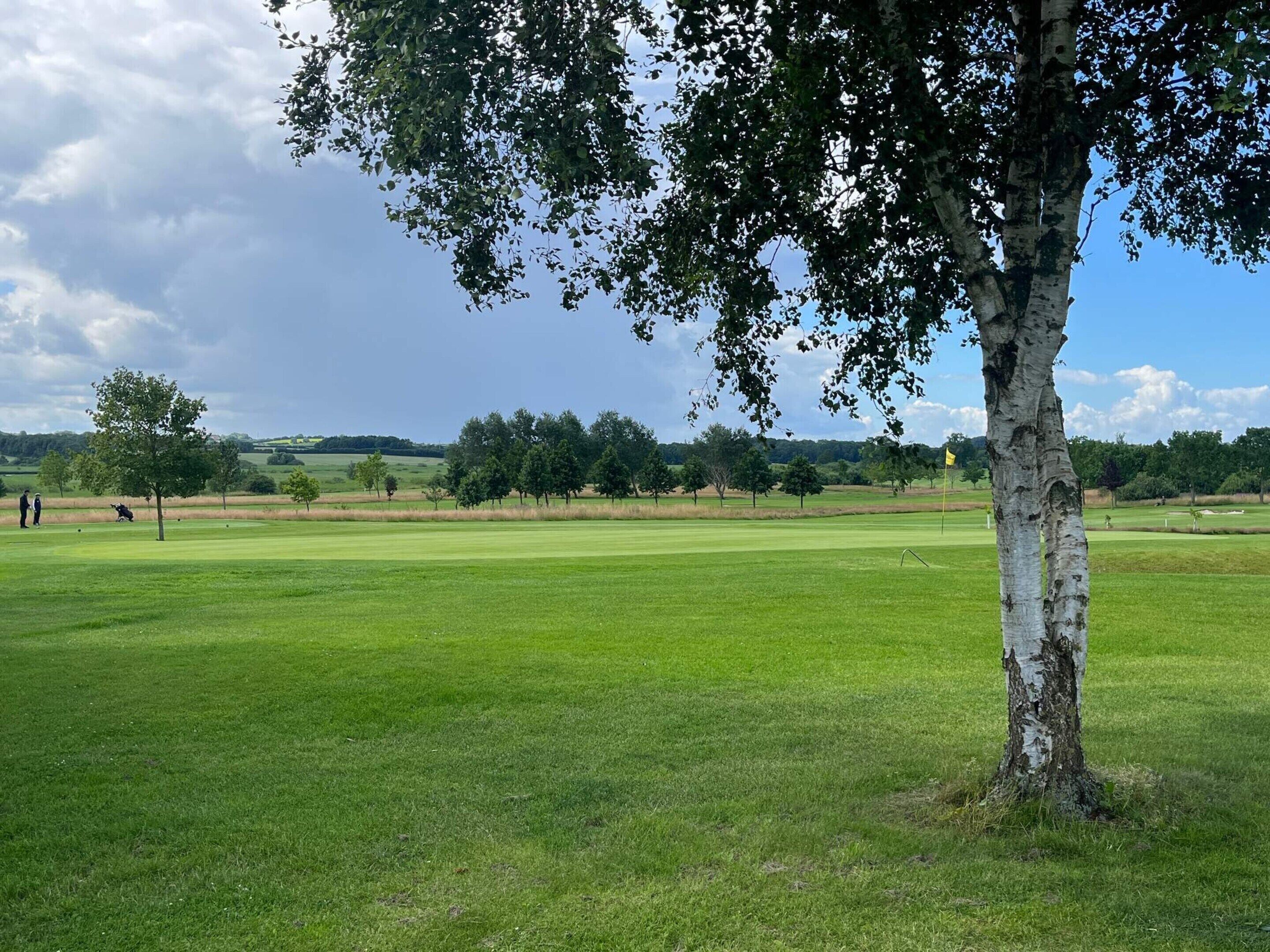 House | Golf