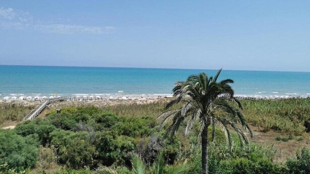 A beach with a palm tree, a wooden walkway, and the ocean in the background. - Costa Blanca Poolside Bliss (Rojales)