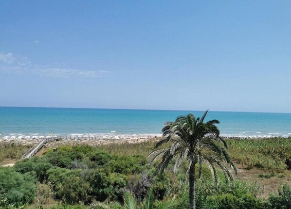 獨棟房屋 | 住宿景觀