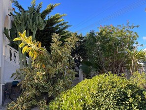 Exterior - Costa Blanca Poolside Bliss (Rojales)