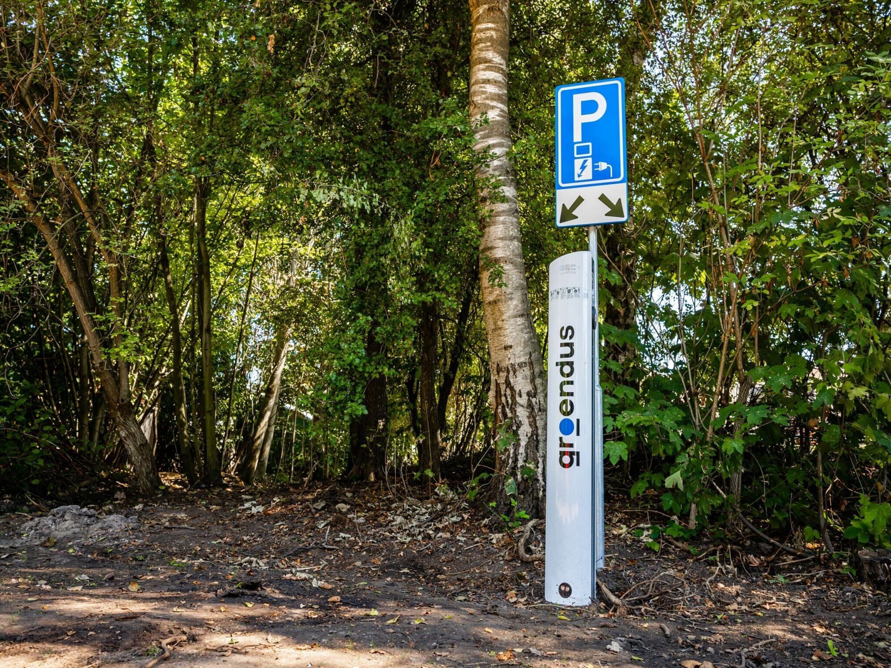 Parkeringstegn med blå baggrund og hvide symboler, der angiver ledige parkeringspladser og opladning til elbil.