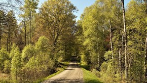Hus | Eksteriør