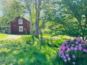 A red wooden house with a porch, surrounded by lush greenery and flowering bushes.