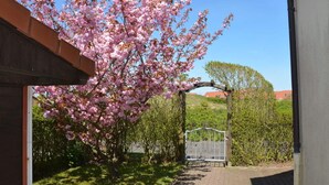 A garden with blooming pink flowers, a paved pathway, and a metal gate leading to a building. - Little Beach Flea Comfortable Holiday Residence (Wangerooge)
