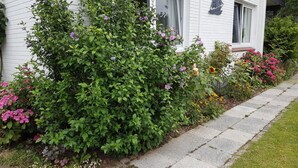Ein weißes Haus mit einem Garten mit verschiedenen Pflanzen und Blumen.
