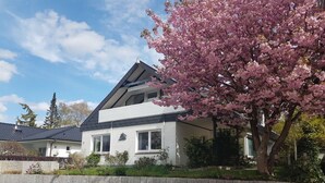 Ein zweistöckiges Haus mit geneigtem Dach, einer Steinmauer im Vordergrund und einer Kirschblütenbaum.