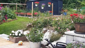 Un jardin agrémenté de diverses plantes et fleurs en pot, une terrasse en bois et un abri de jardin en arrière-plan.