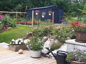 A garden with various potted plants and flowers, a wooden deck, and a shed in the background.