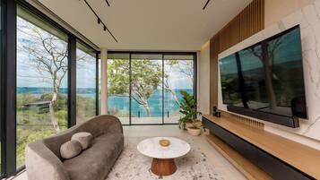 Smart-tv, eldstad, böcker och en stereo