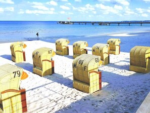 A beach with numbered mailboxes and a pier in the background. - Herring Gull (Scharbeutz)