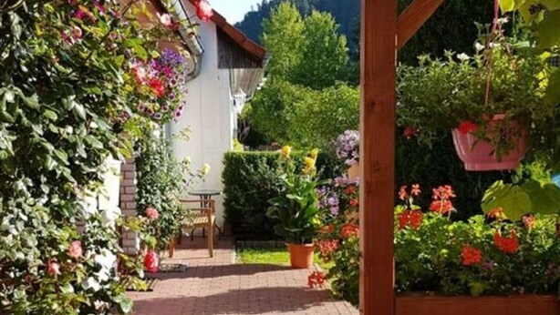 A covered patio area with brick flooring, surrounded by potted plants and flowers. - Holiday Home Mountain View (Langelsheim)