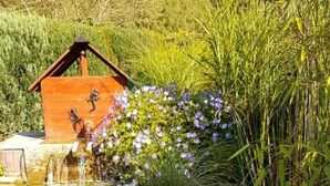 A concrete planter with a floral arrangement and a small wooden structure in the background. - Holiday Home Mountain View (Langelsheim)
