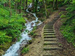 A forested area with a cascading stream and a wooden staircase leading up. - Premium Apartment With Bubble Bath (Kelmis)
