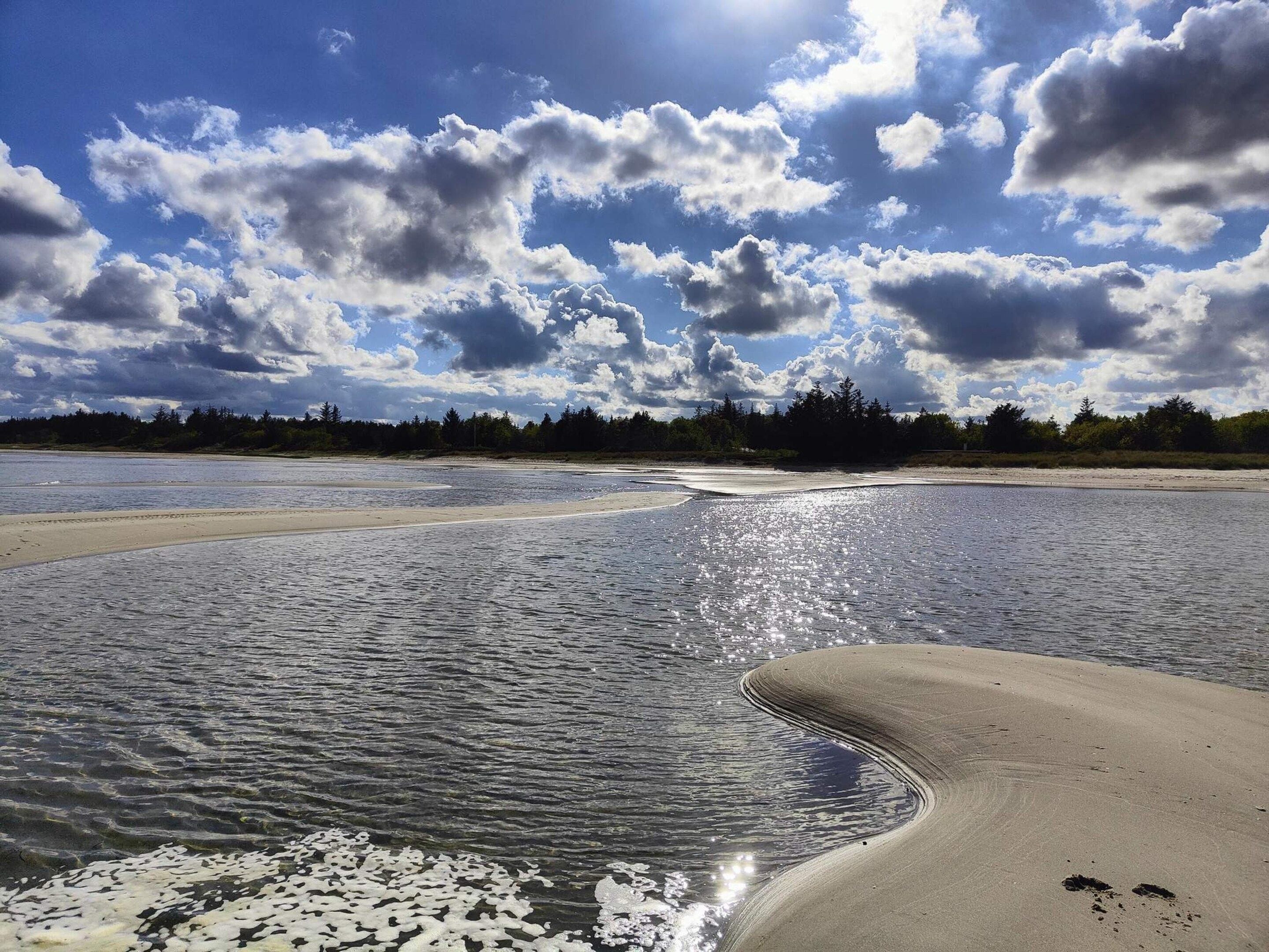 A riverbank with a sandy beach and trees in the background.